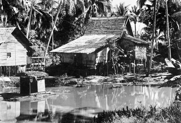 An old photograph of timber houses raised on piles over a river edge, with palms behind and reflections in the water.