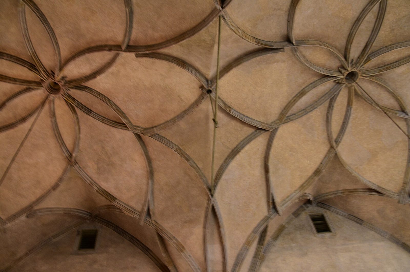 A vaulted ceiling of curving intertwined stone ribs.