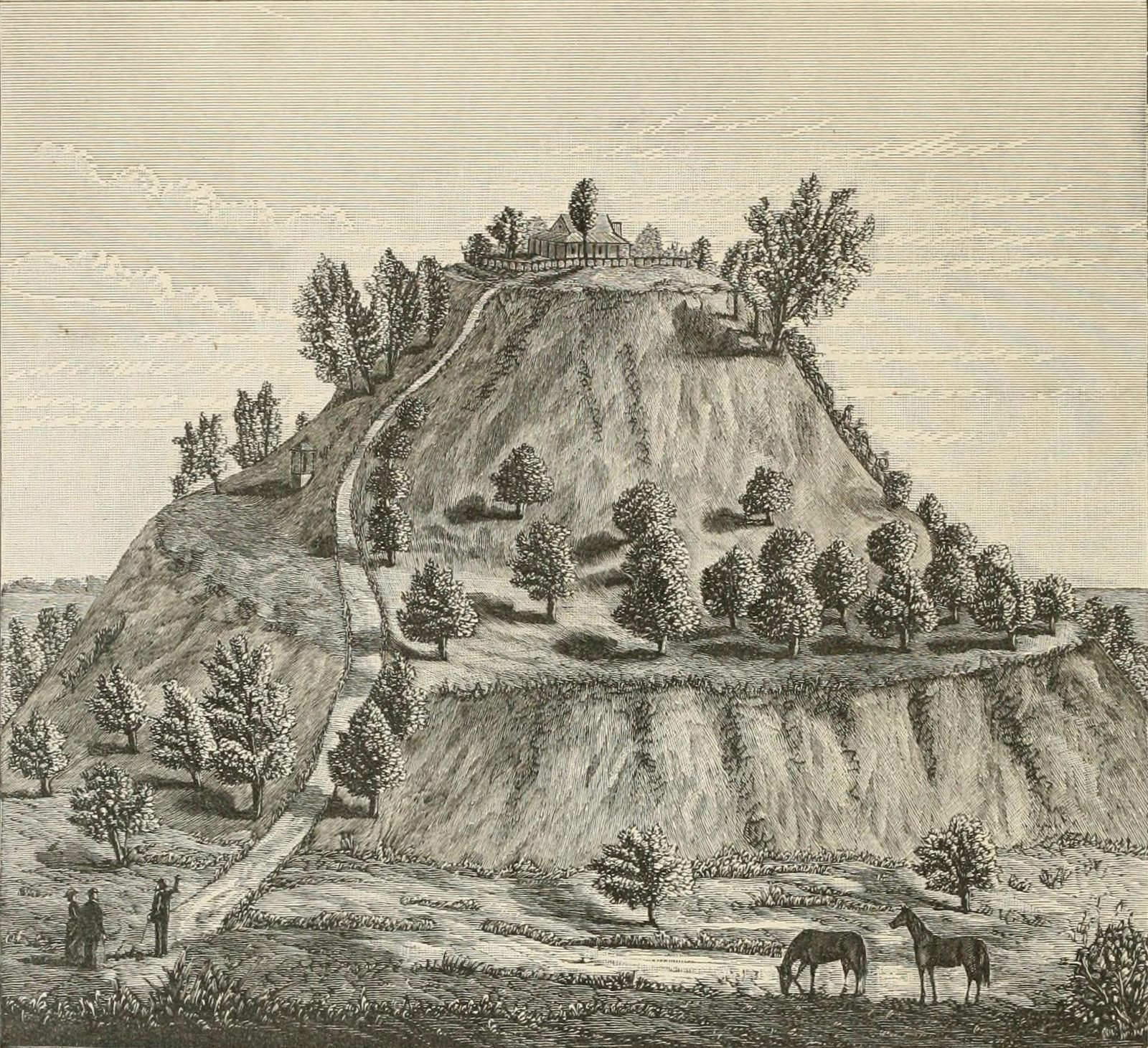 An engraving of a steep, terraced, tree-dotted mound with a path up its side, horses grazing at its foot.