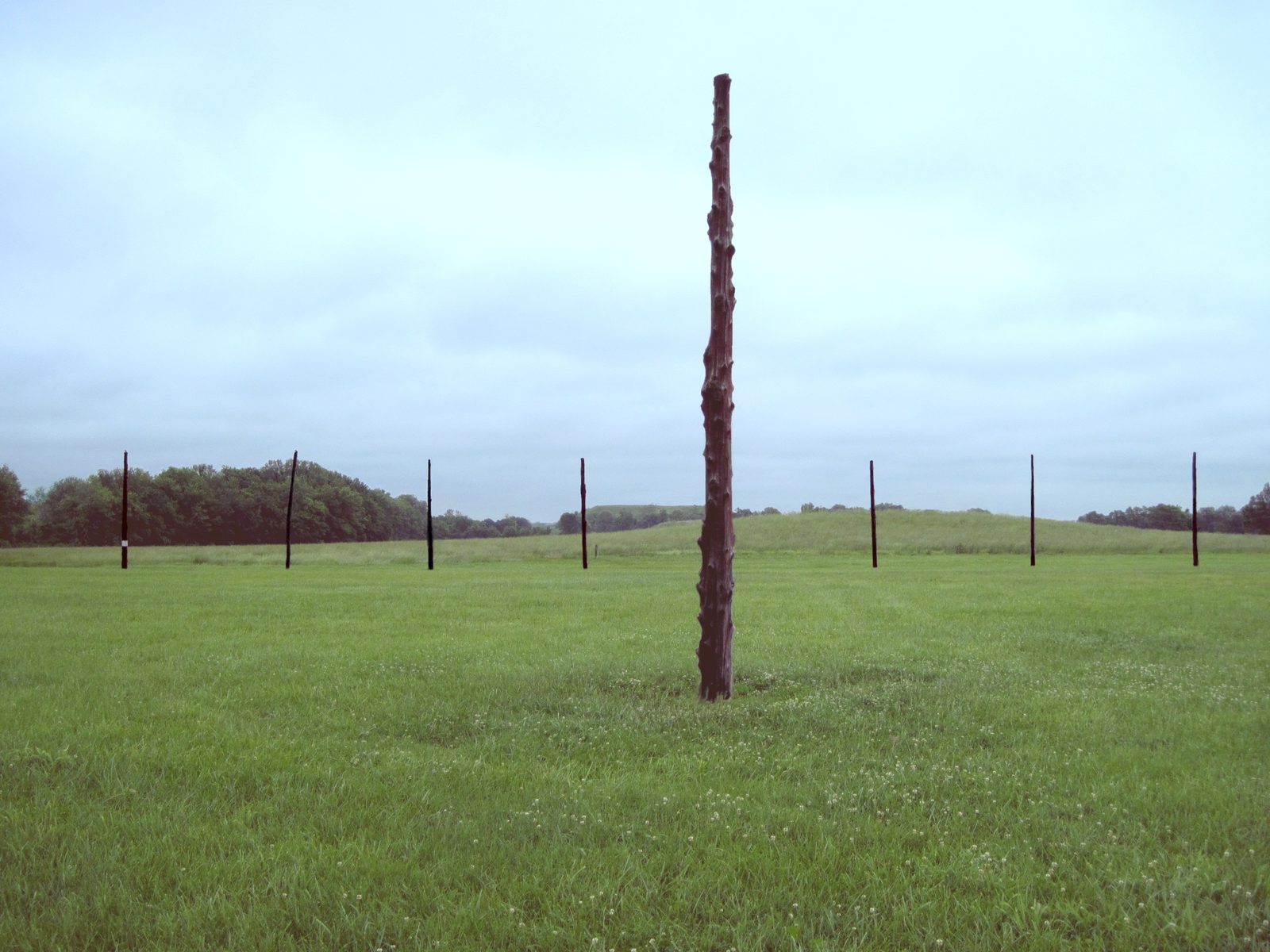 A single tall red post standing in a grass field, a ring of shorter posts behind it.