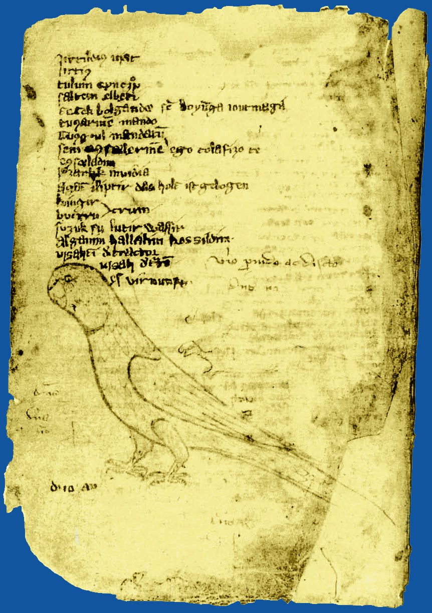 A yellowed manuscript page with a list of words in two columns and a sketched bird.
