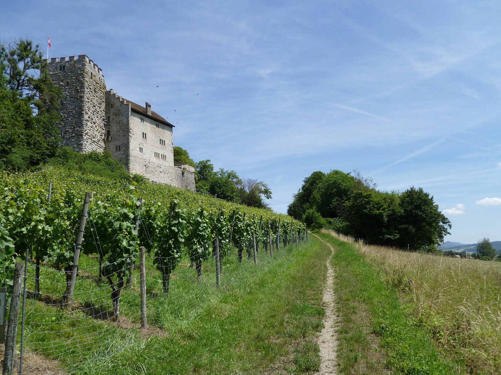 A stone castle with a square tower on a wooded ridge above vineyards.