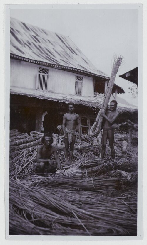 An old photograph of men standing among great heaps of bundled rattan canes in front of a timber warehouse.