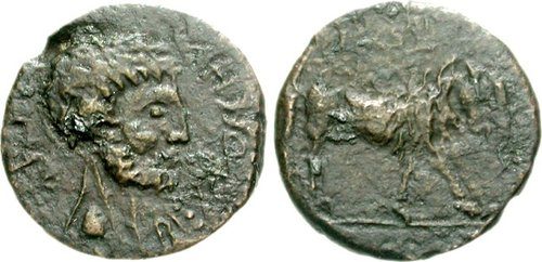 Both faces of a bronze coin, a bearded head and a bull.