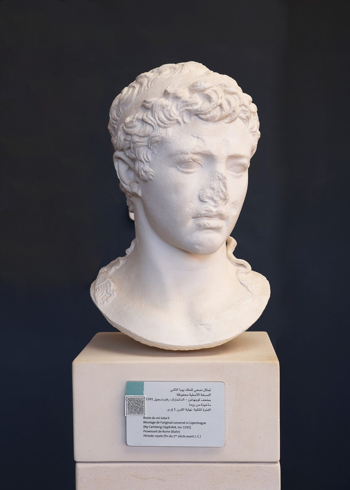 A marble portrait head of a young man with short curly hair, on a museum pedestal.