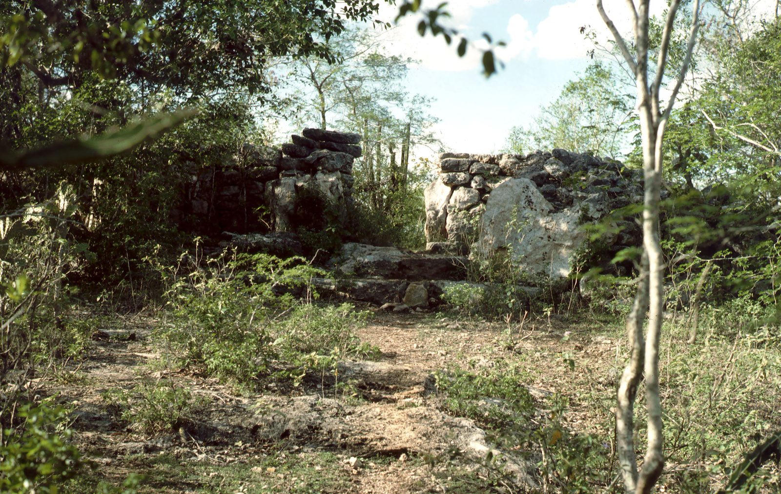 A low line of tumbled stone among scrub and trees.