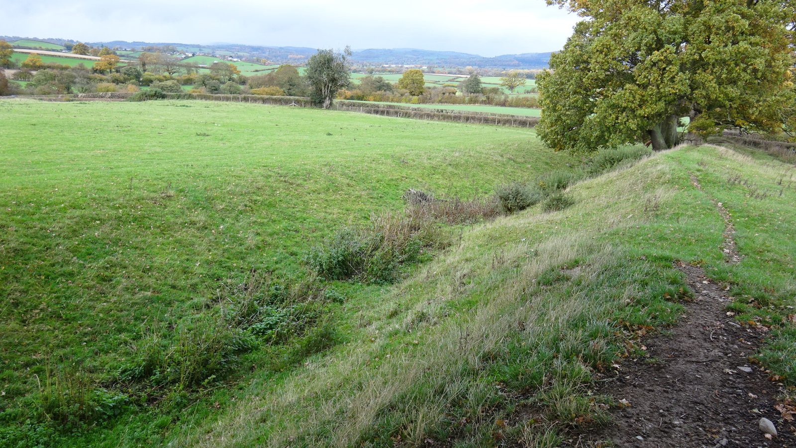 A grassy bank and ditch running across farmland, with a footpath beside it.