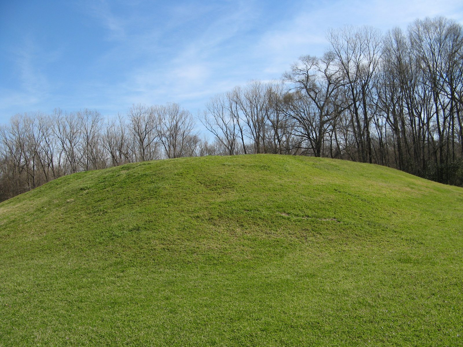 A low, broad, grass-covered mound in front of bare winter trees.