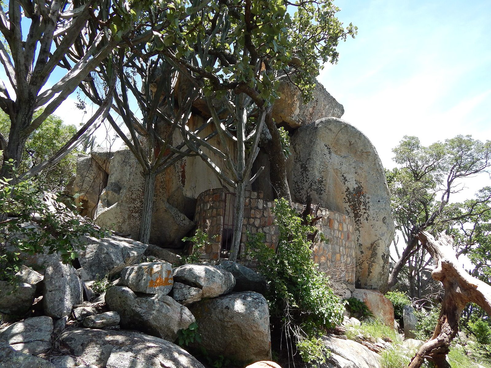 Granite boulders among trees, a stone wall closing a gap between them.