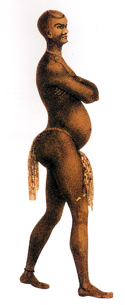 A coloured full-length drawing of a stout man in profile, arms folded, wearing a short kilt of tails.