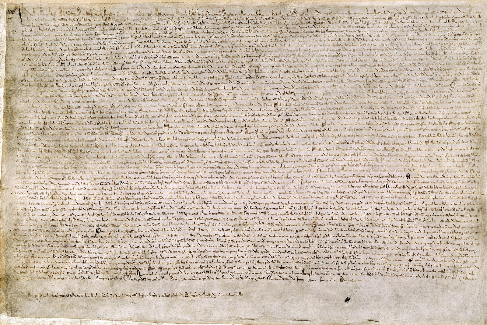 A wide parchment sheet covered edge to edge in small Latin script.