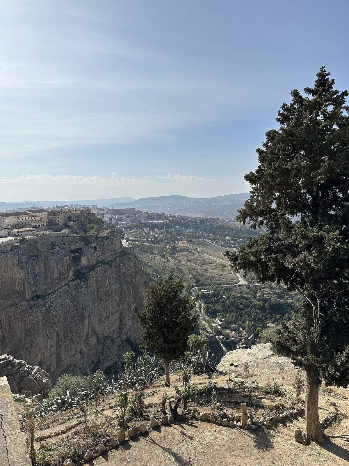A view from a height across a deep rocky gorge to a town on cliffs, trees in the foreground.