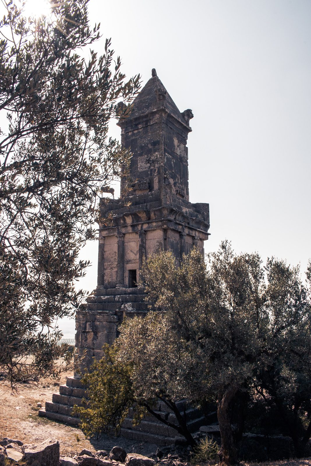A tall stone tower tomb in three stages with a pyramid top, among olive trees.