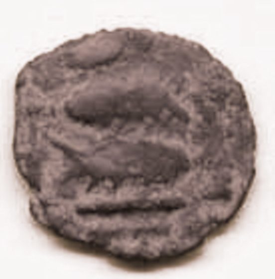A worn copper coin with a pair of fish.