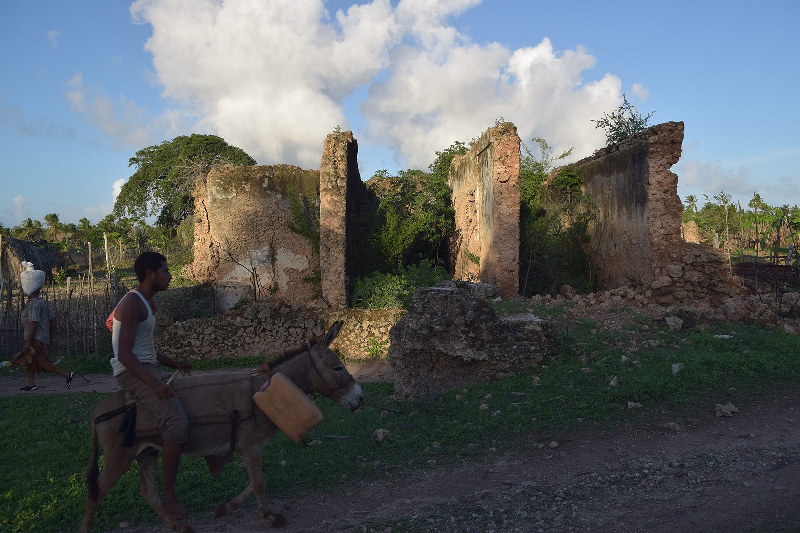 Crumbling coral-stone walls overgrown with trees, a man riding a donkey past in the foreground.