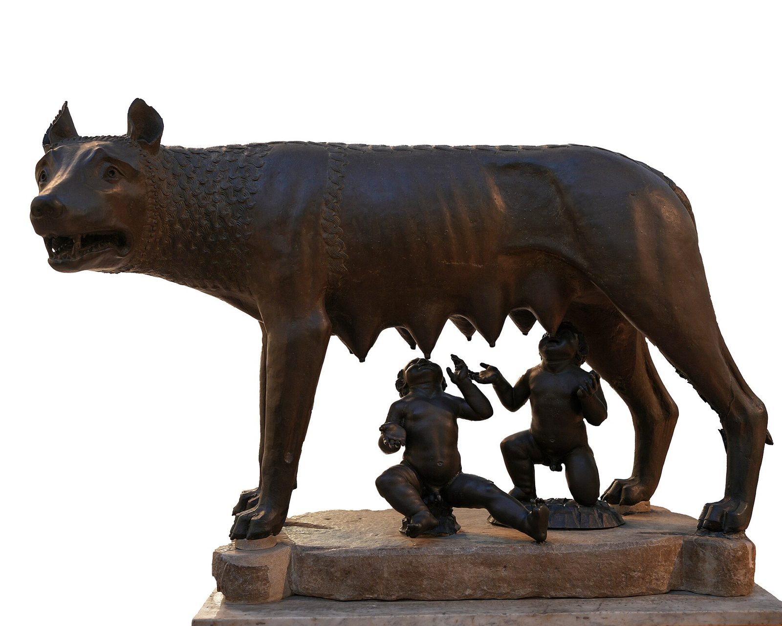 A bronze she-wolf standing stiffly on four legs, head turned sharply to one side with bared teeth and a ruff of incised fur, two small bronze infants reaching up to suckle beneath her.