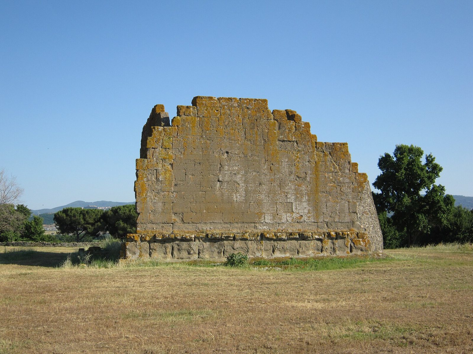 An excavated field of low stone footings and scattered blocks on open ground, with dry grass growing between the lines of walls.