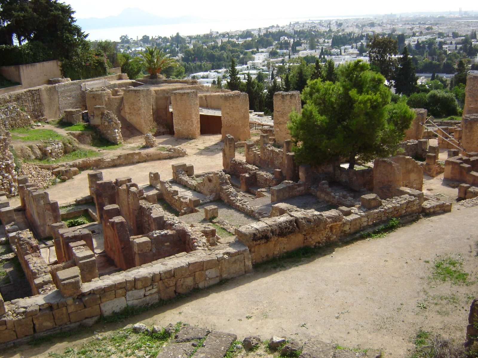 Excavated rows of narrow stone-walled rooms and cellars stepping down a hillside, with a street line running between them and trees along the crest above.