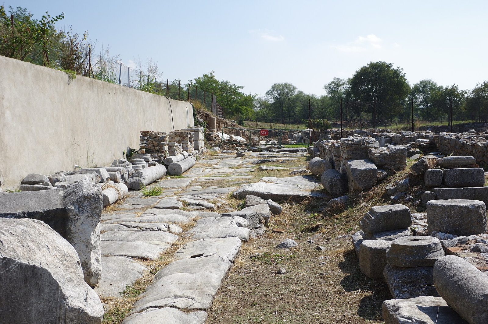 A broad excavated site of paved streets, column bases and ruined walls spread across a plain, with bare hills closing the far side.