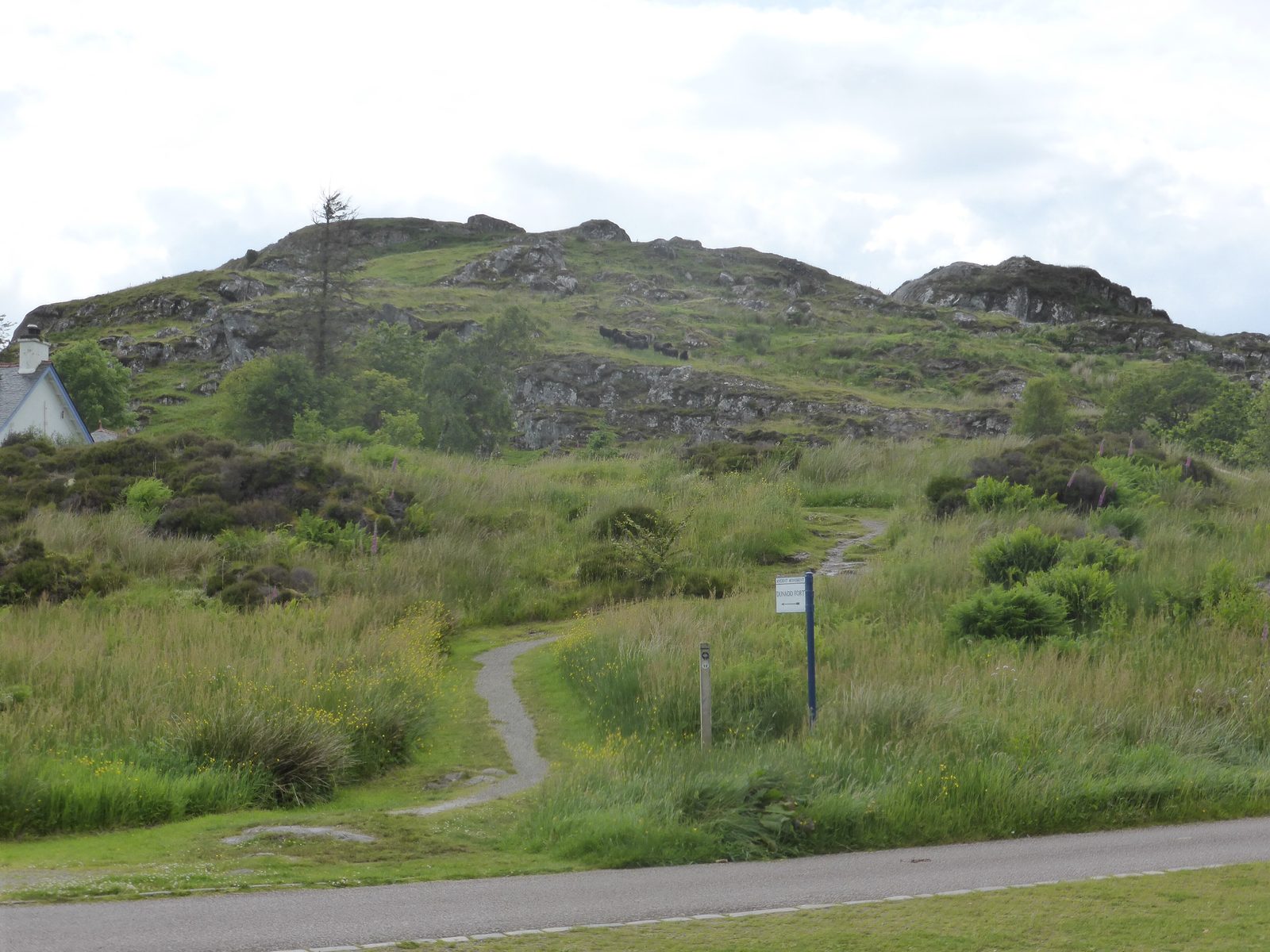 A rocky, grass-covered hill with a path winding up toward its summit.