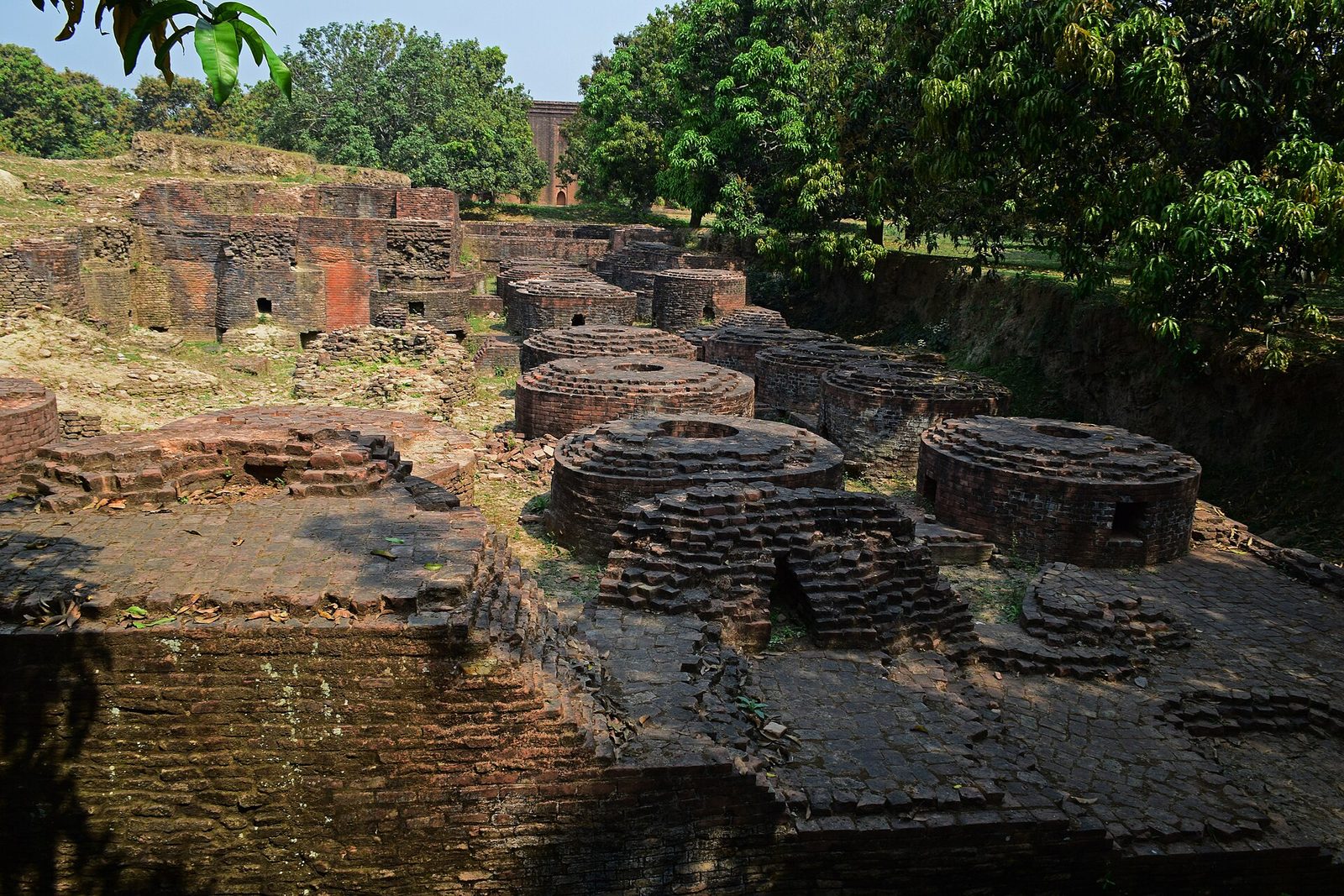 Excavated brick foundations and round platforms among trees.