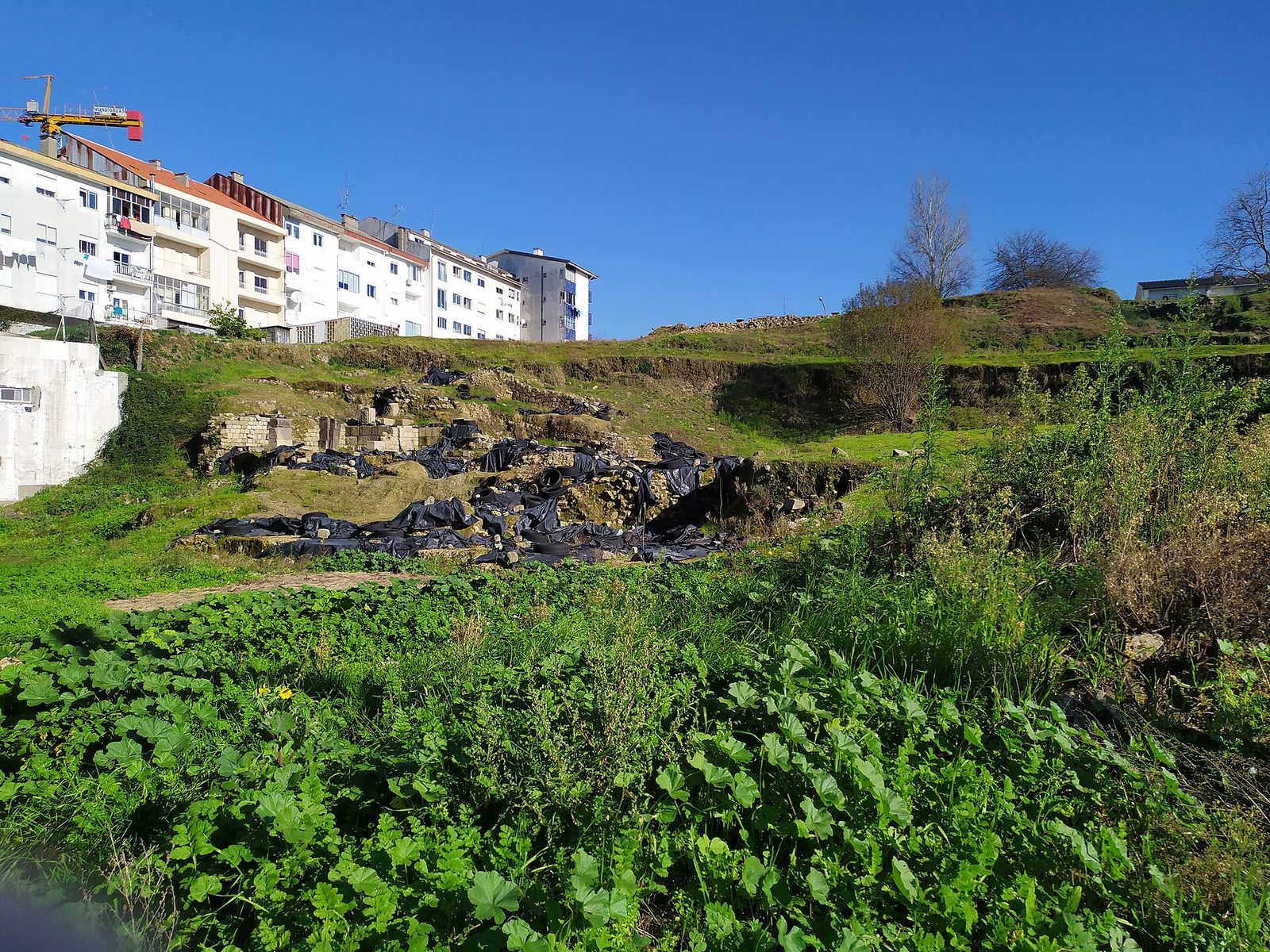 An excavated Roman theatre of low stone footings and tiers of broken seating, laid open below modern buildings on three sides.