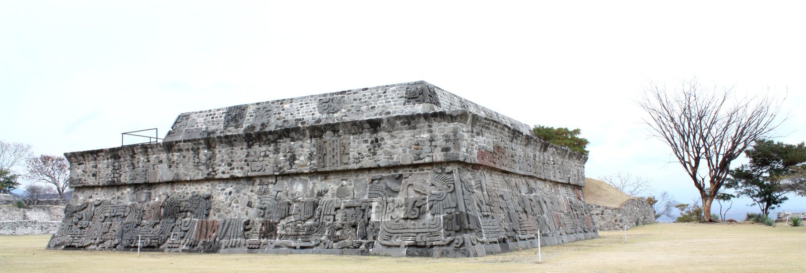 A low stone platform faced with carved reliefs of feathered serpents, beside a bare tree.