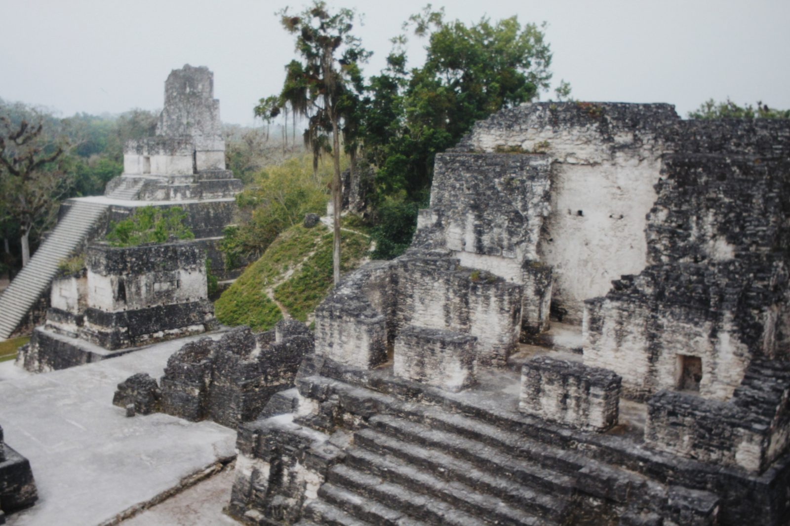 Grey stone temples and terraces of a ruined acropolis among trees, a tall temple behind.
