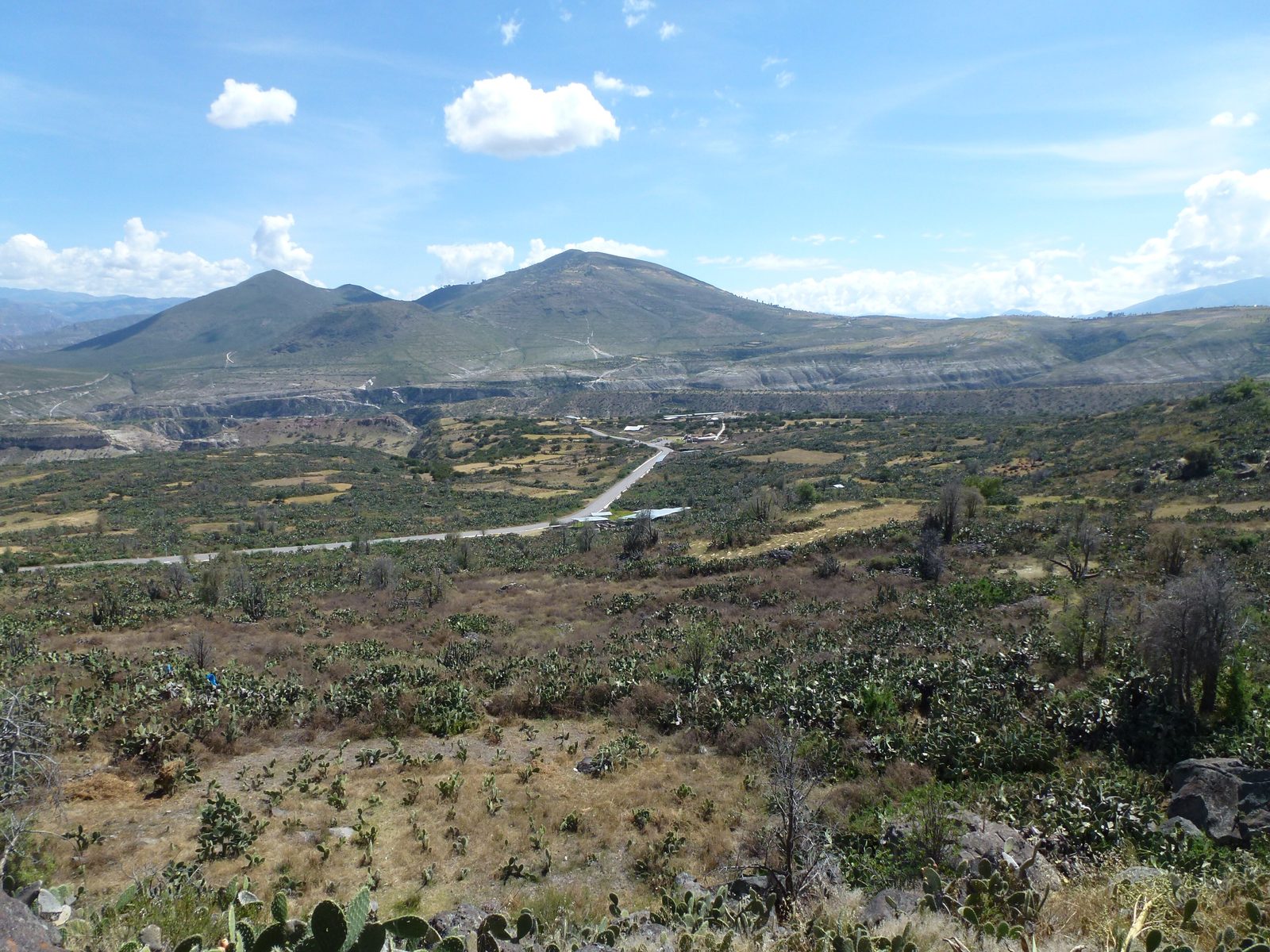 A wide valley of scrub and cactus below rounded hills, with a road crossing it.