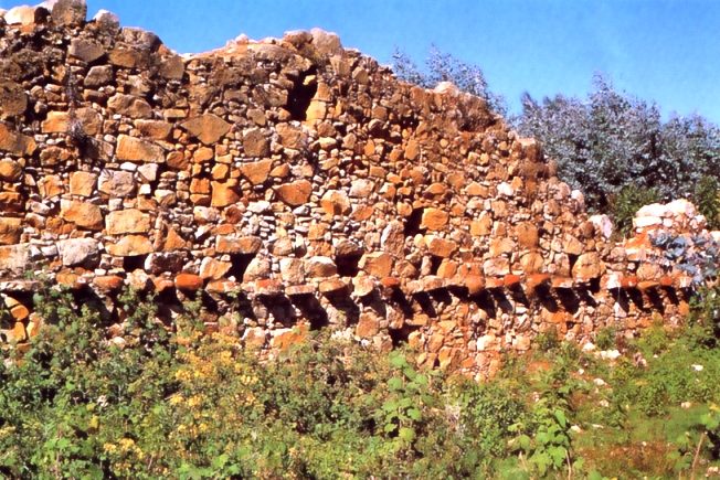 A ruined wall of rough stone rubble with rows of small niches, overgrown with shrubs.