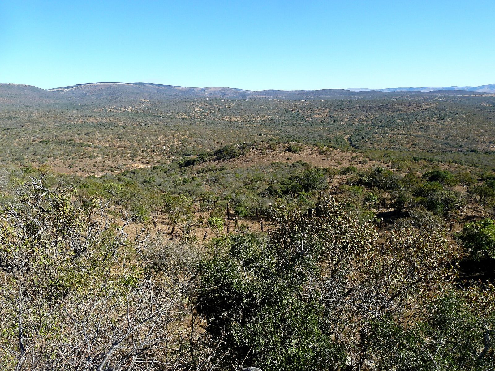 A wide valley of dry bush and low hills under a clear blue sky.