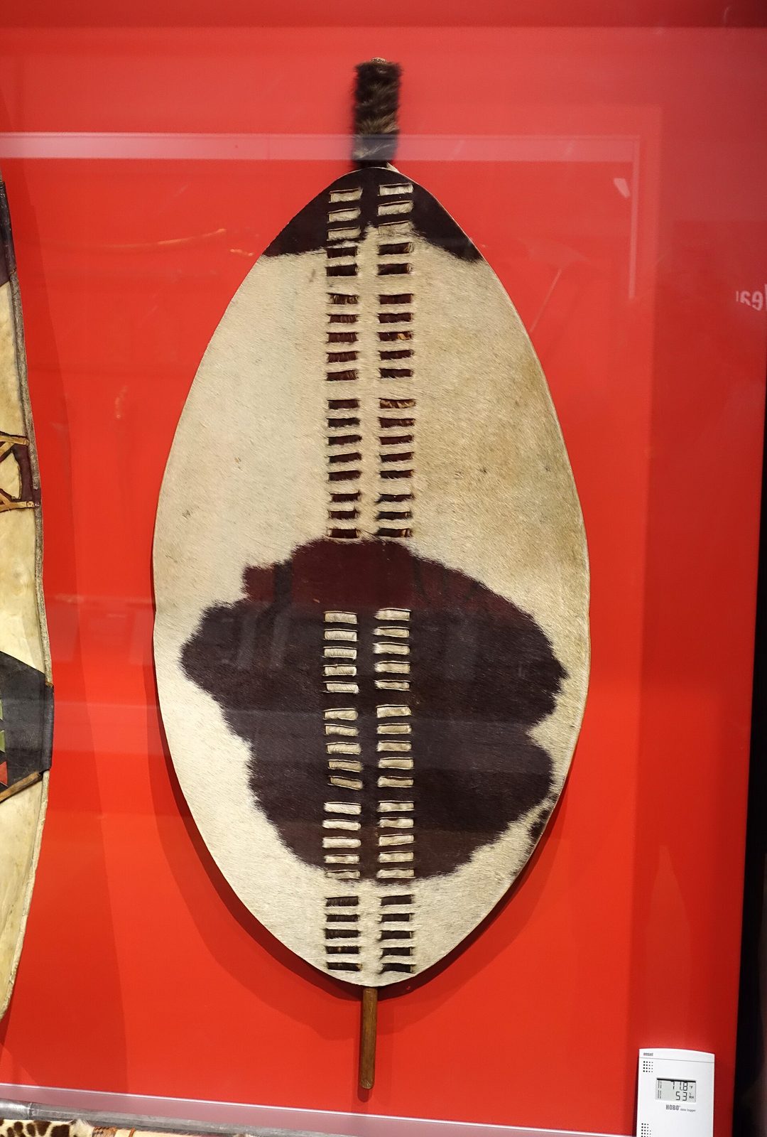 A tall oval shield of white cowhide with a dark patch, laced down the middle with a double row of hide strips, mounted on a red wall.